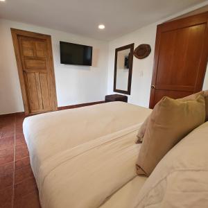 una camera d'albergo con un letto e una televisione di Zenith Bed & Breakfast a Pereira