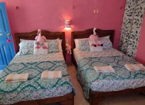 two beds in a room with pink walls at Courtyard family room in Chelem +26 photos