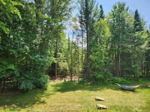 Zahrada ubytování Springbrook Inn Cedar Trail