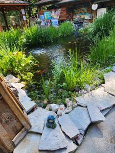 Zahrada ubytování Springbrook Inn Cedar Trail