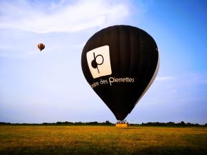 a hot air balloon flying in a field at Les Eléphants bleus in Onzain