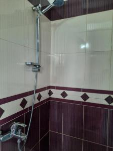 Koupelna v ubytování Guest house Irvin + 97 fotografií