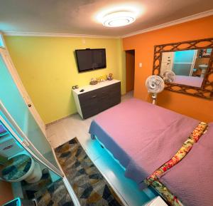 1 dormitorio con 1 cama, TV y espejo en Gold House Premium, en Hacienda Mera