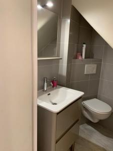 a bathroom with a sink and a toilet at Chante Brise Studio in Cannes +1 photo