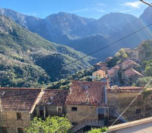 a view of a town with mountains in the background at Appartement maison de village à Ota-Porto in Porto Ota