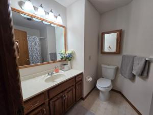 a bathroom with a sink and a toilet and a mirror at Tranquility Residence in Apple Valley