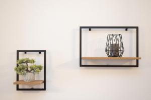 Dos espejos colgados en una pared blanca con plantas. en Piso en el Barrio Alto, en Sanlúcar de Barrameda