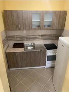 Kuchyň nebo kuchyňský kout v ubytování Zara Apartman Krusevac - Centar