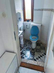 a bathroom with a blue toilet and a tile floor at Gemütlicher Raum, Gampern in Gampern +9 photos