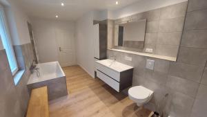 a bathroom with a sink and a toilet at Haus Moritzburg in Bad Schandau +44 photos