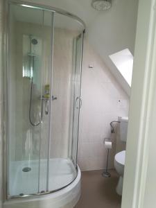 a bathroom with a shower and a toilet at Ferienwohnung Schmetterling II in Grossenbrode +10 photos