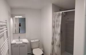 een badkamer met een toilet, een wastafel en een douche bij A4-12 Studio cosy toulouse in Toulouse