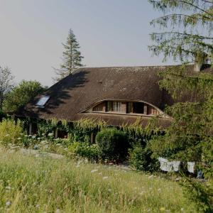 an old house with a thatched roof and plants at Domaine Foray in Villecien