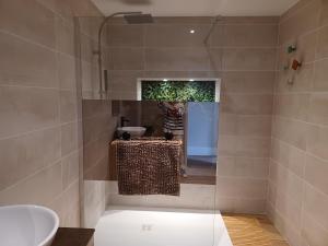 a bathroom with a shower with a sink and a mirror at Chez laure in Bar-sur-Seine