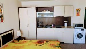 Kuchyň nebo kuchyňský kout v ubytování Stunning Private Beachfront Studio with Pool Access