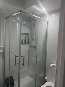 a glass shower in a bathroom with a toilet at 1 Bedroom studio in Datchet +2 photos