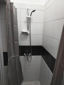 a bathroom with a shower with black and white tiles at Stan na dan BB 2 in Bajina Bašta