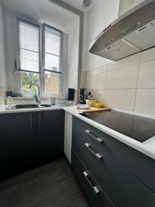 Η κουζίνα ή μικρή κουζίνα στο Superbe appartement confort entre terre et mer plein centre-ville