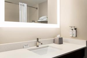 a bathroom with a sink and a mirror at Holiday Inn Express Birmingham Irondale East by IHG in Birmingham