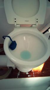 a toilet with a scrubber sitting on top of it at COSY BOAT FLAT at BARCELONA BEACH in Barcelona +14 photos