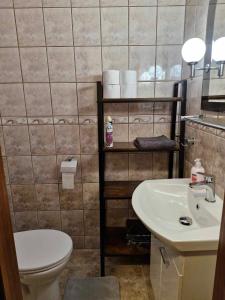 ein Badezimmer mit Toilette und Waschbecken in der Unterkunft Wilcza Poręba Apartament in Karpacz + 7 Fotos