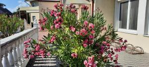 Fotografie z fotogalerie ubytování Penzión Európa Diakovce v destinaci Diakovce