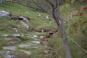 a stone path on a hill with a tree at Magura Rustic Tiny House in Măgura
