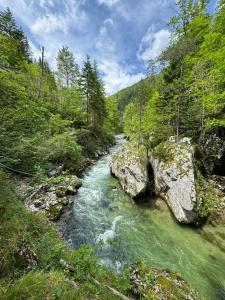 Un río con una roca en medio de un bosque en Luxury Glamping in the Vienna Alps 