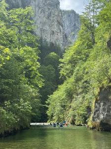 un grupo de personas haciendo rafting por un río en Luxury Glamping in the Vienna Alps 