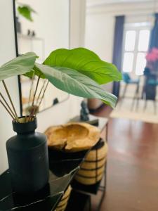 Fotografie z fotogalerie ubytování Atelier Skalo Boutique Hotel v destinaci Willemstad
