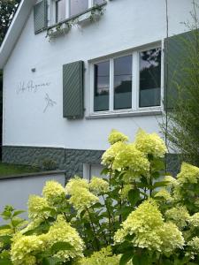 Zahrada ubytování Villa Plagniau