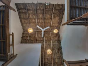 Knihovna v hostelu