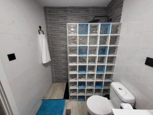 a bathroom with a toilet and a wall of glass tiles at Apartamento La Avenida in Lanjarón +15 photos