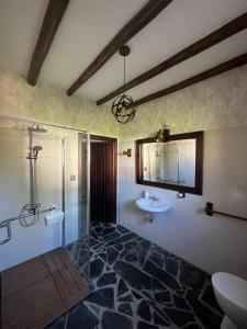 a bathroom with a sink and a shower and a toilet at Casa rural La Portilla in Aroche