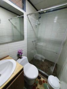 a bathroom with a shower and a toilet and a sink at Apartamento N2 completo independiente Montenegro in Montenegro
