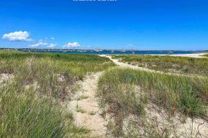 a sandy path through the grass on a beach at 227 Winter St, Hyannis in Barnstable +42 photos