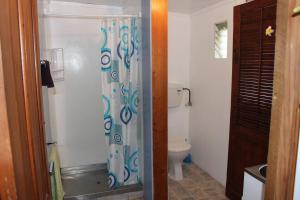 une salle de bain avec un rideau de douche et des toilettes dans l'établissement OCEANSIDE - Exclusive & private - Castaway Cottage, à Tuateawa