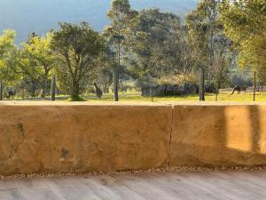 eine Betonmauer mit Giraffen in einem Park in der Unterkunft HighGrove Lodge, Luxury Hunter Valley Accommodation in Millfield