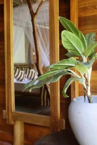 Fotografie z fotogalerie ubytování Wood Palace Ella v destinaci Ella