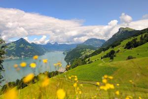 Paesaggio naturale nelle vicinanze dell'hotel
