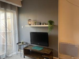 TV a/nebo společenská místnost v ubytování Appartement bouvreuil