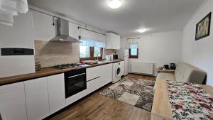 Kuchyň nebo kuchyňský kout v ubytování Matei Residence