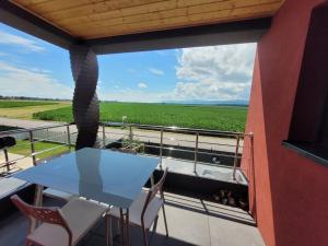 Balkón nebo terasa v ubytování Cocon zen et confortable à proximité de Colmar