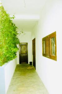 Fotografie z fotogalerie ubytování Out Of Rupeace Hostel Unawatuna v destinaci Unawatuna