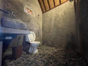 ein Bad mit WC in einem Zimmer mit Felsen in der Unterkunft Babakan Unda Cottage in Semarapura