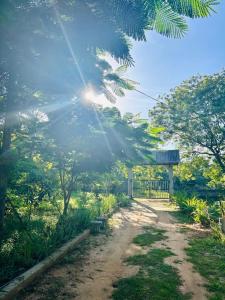 eine unbefestigte Straße in einem Park mit strahlendem Sonnenschein in der Unterkunft Neem safari lodge Yala in Tissamaharama