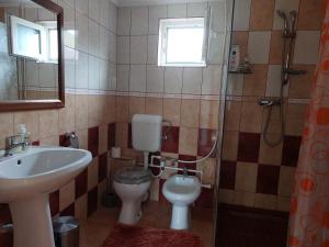 a bathroom with a sink and a toilet and a shower at Casuta dintre dealuri in Vlădeşti