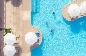 Piscina di Bluesun hotel Neptun - All inclusive o nelle vicinanze
