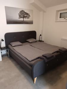 Postel nebo postele na pokoji v ubytování Apartmán u Révy