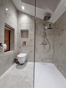 a bathroom with a shower and a toilet at Charmante maison de ville in Châtillon-sur-Seine